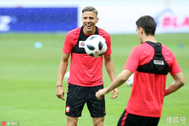 的油菜花海 的油菜花海