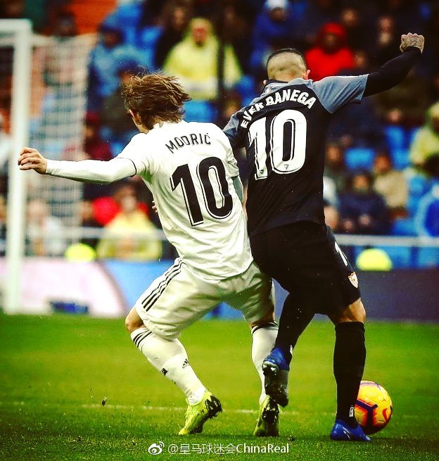 定的冠军球 定的冠军球